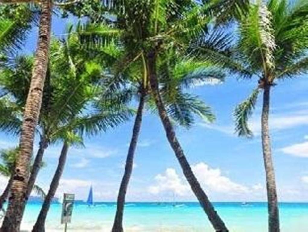 Boracay Coco Huts Hotell Balabag  Eksteriør bilde